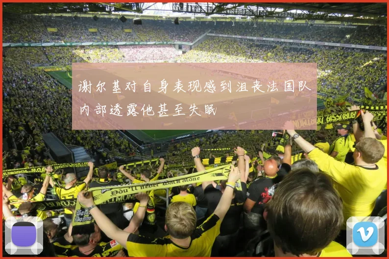 谢尔基对自身表现感到沮丧法国队内部透露他甚至失眠