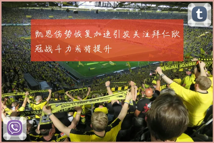 凯恩伤势恢复加速引发关注拜仁欧冠战斗力或将提升